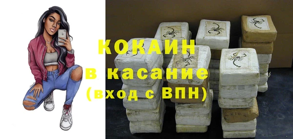 ГАЛЛЮЦИНОГЕННЫЕ ГРИБЫ Заволжье